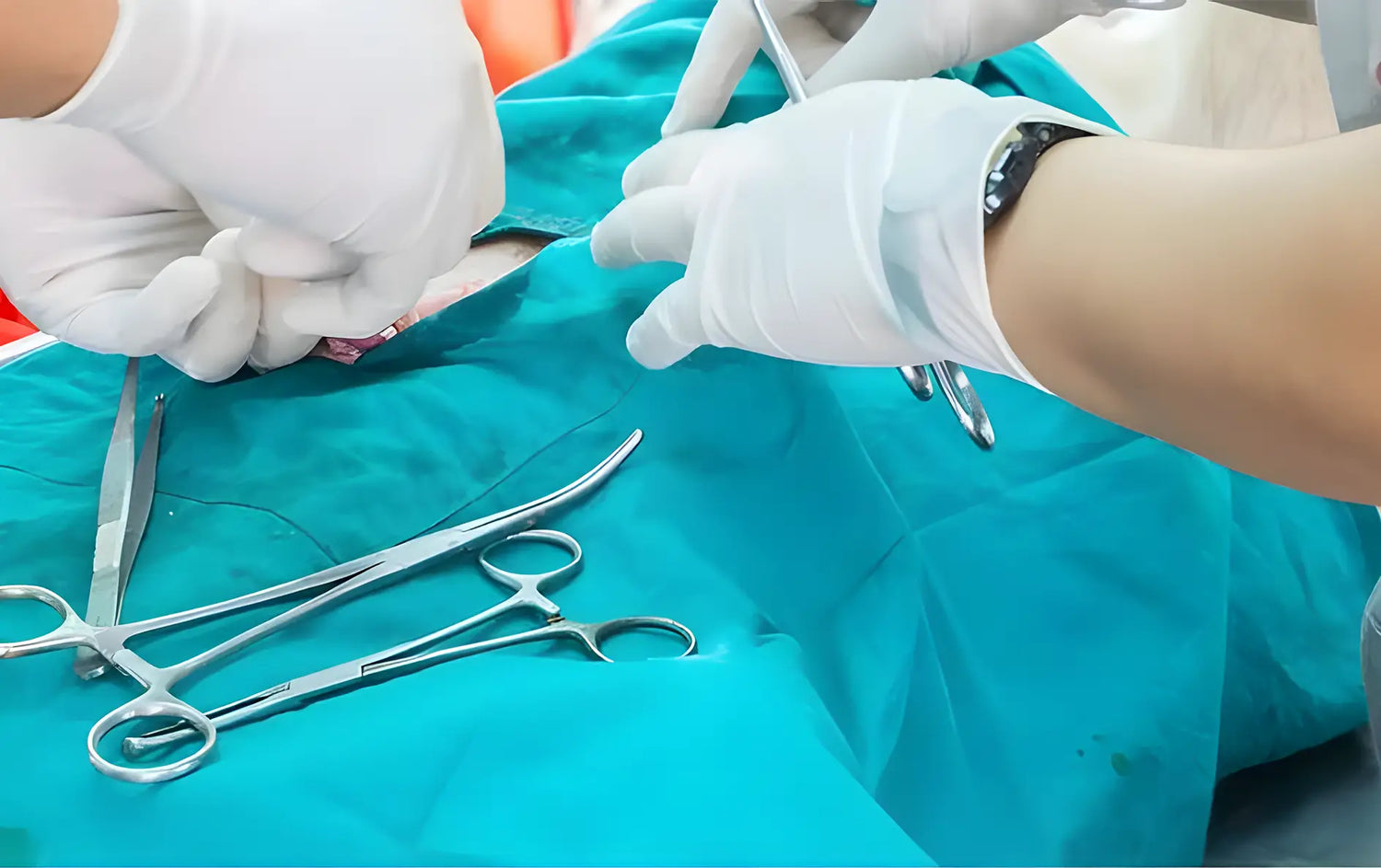 Vet Supplies Online - Veterinary Implants