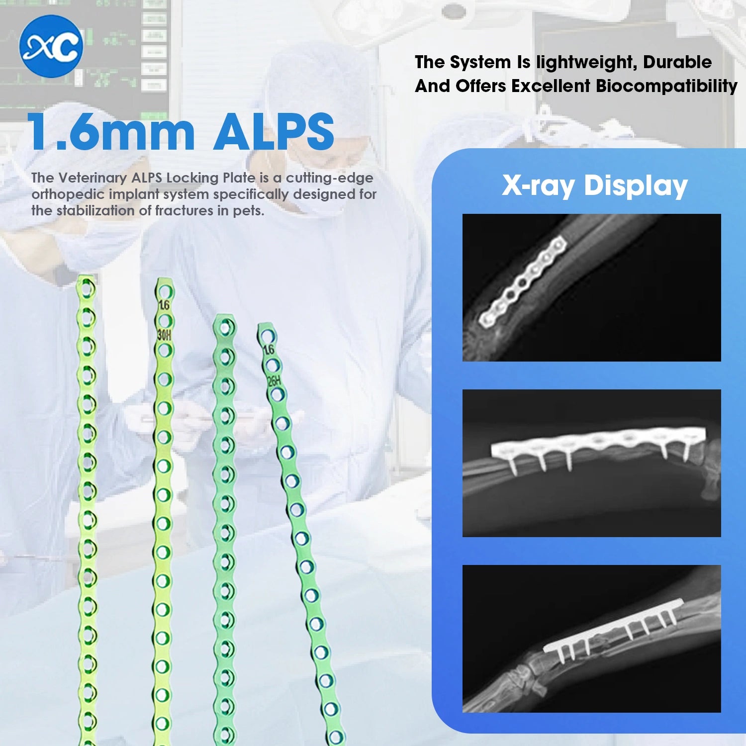 1.6mm Titanium ALPS Bone Plate for Veterinary Pets Surgical Fracture Fixation - xcvet.com