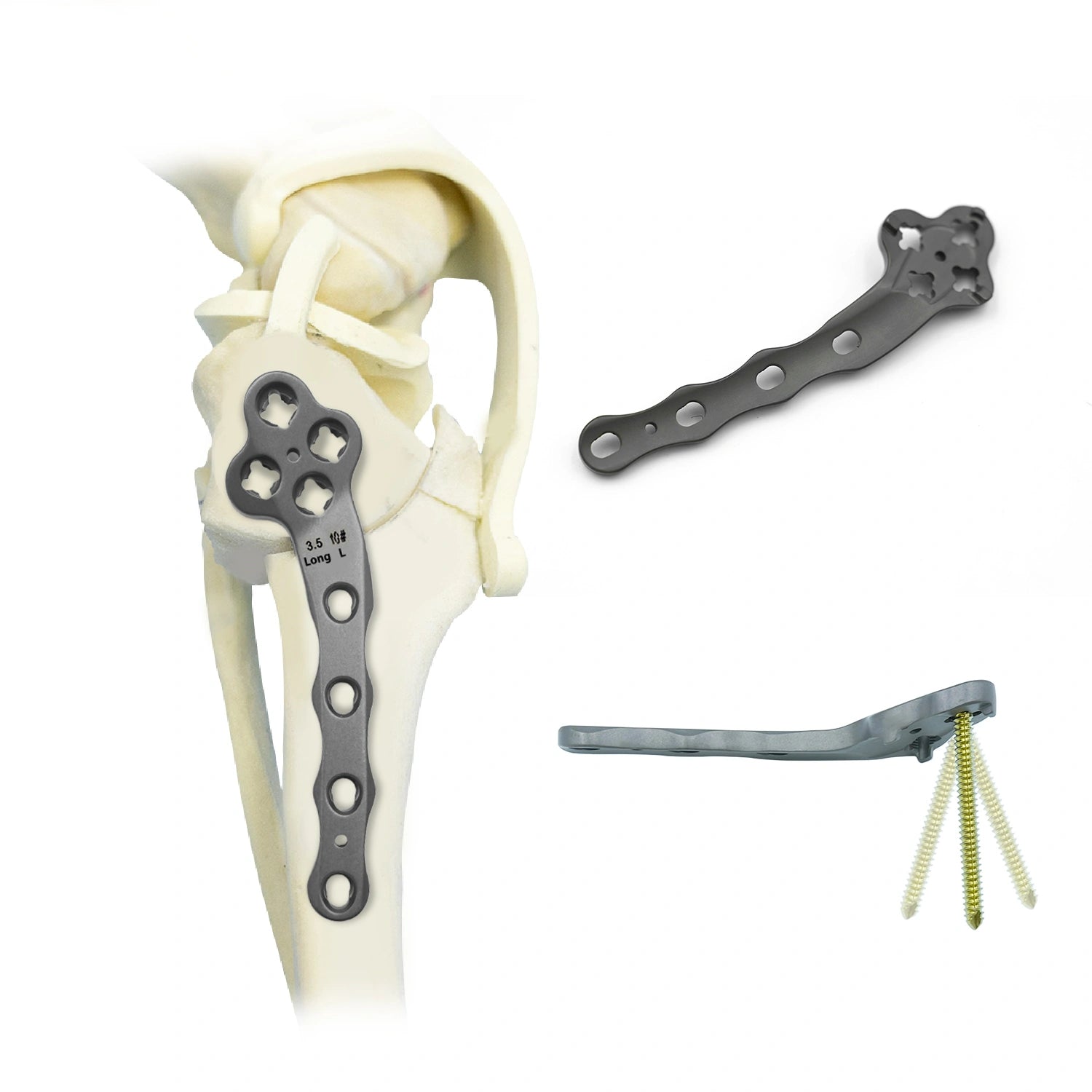 Large Breed Canine 3.5mm Titanium Multi-Axial TPLO Plate for CCL Repair - xcvet.com