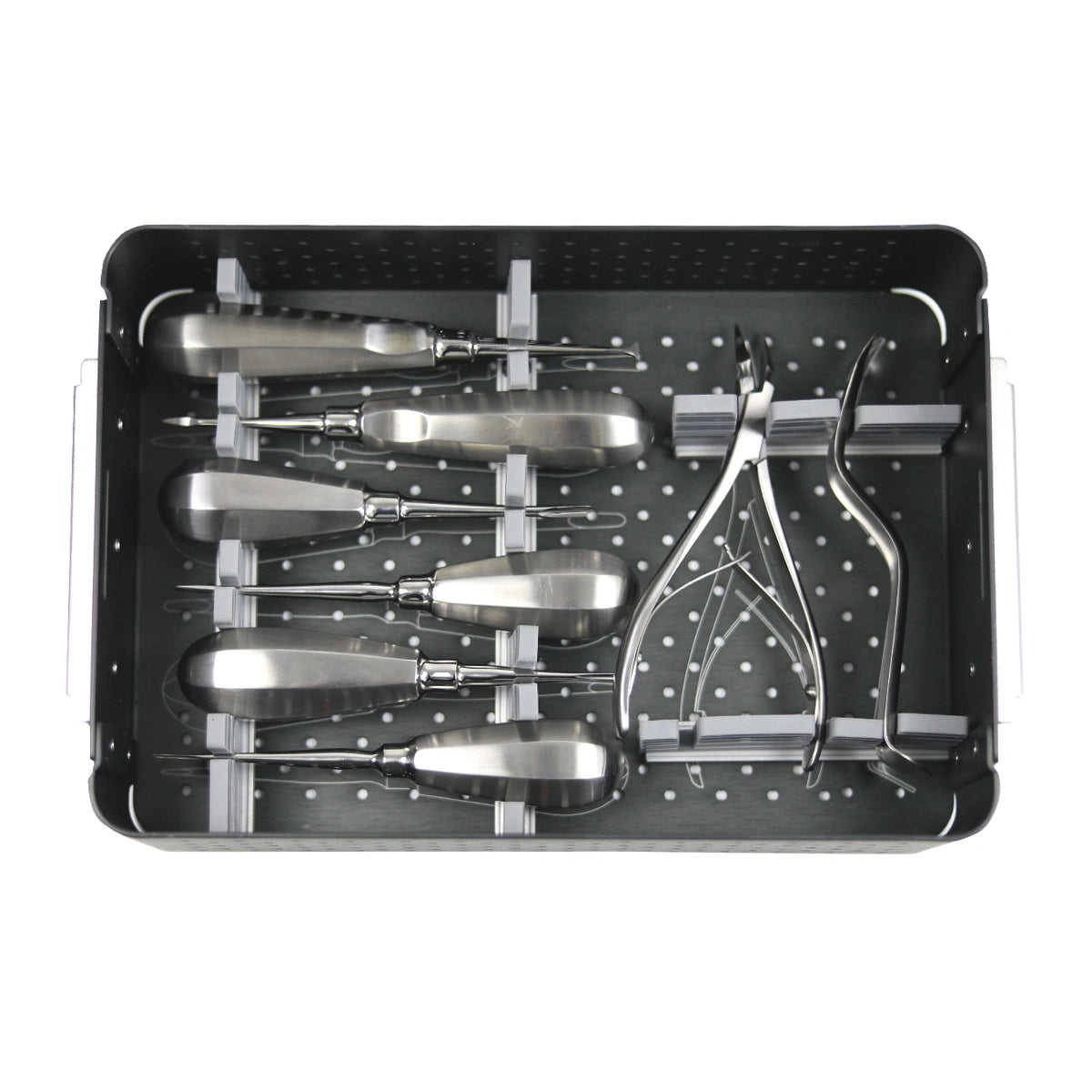 Vet Small Animal Basic Dental Surgical Instruments Set German Stainless - xcvet.com