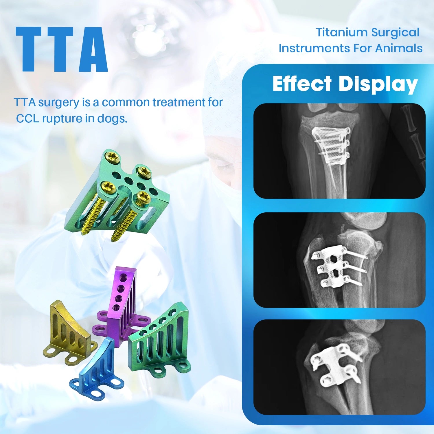 Titanium TTA Cage Implant for Small Animal ACL Repair – Precision CNC Machining - xcvet.com