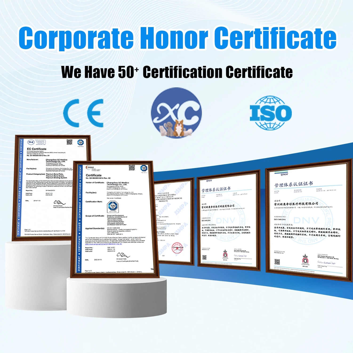 Veterinary External Fixation Single Clamp System for Small Animal Orthopedic Surgery - xcvet.com