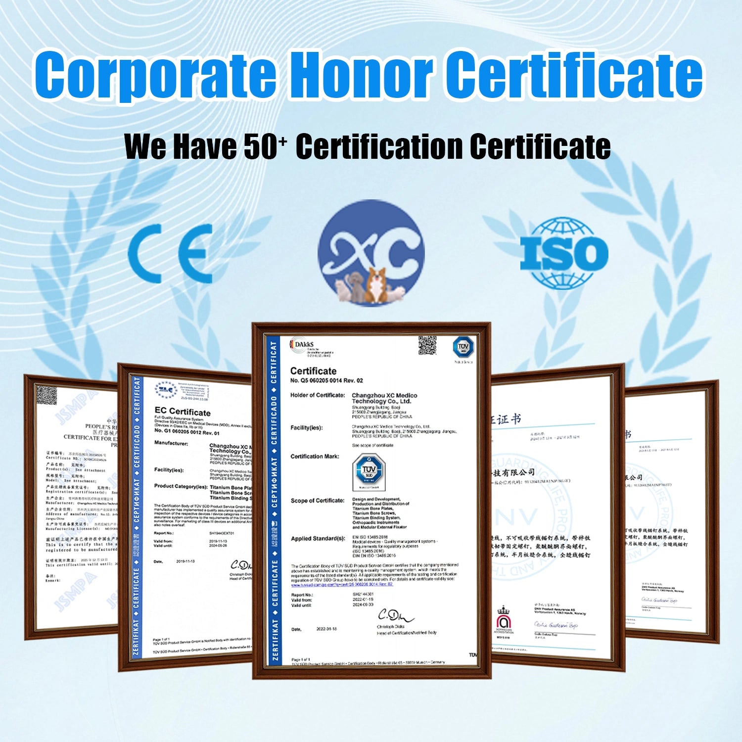 Vet Veterinary Orthopedic PGR Instrument Set for Veterinaria Orthopedic Pet Surgery - xcvet.com