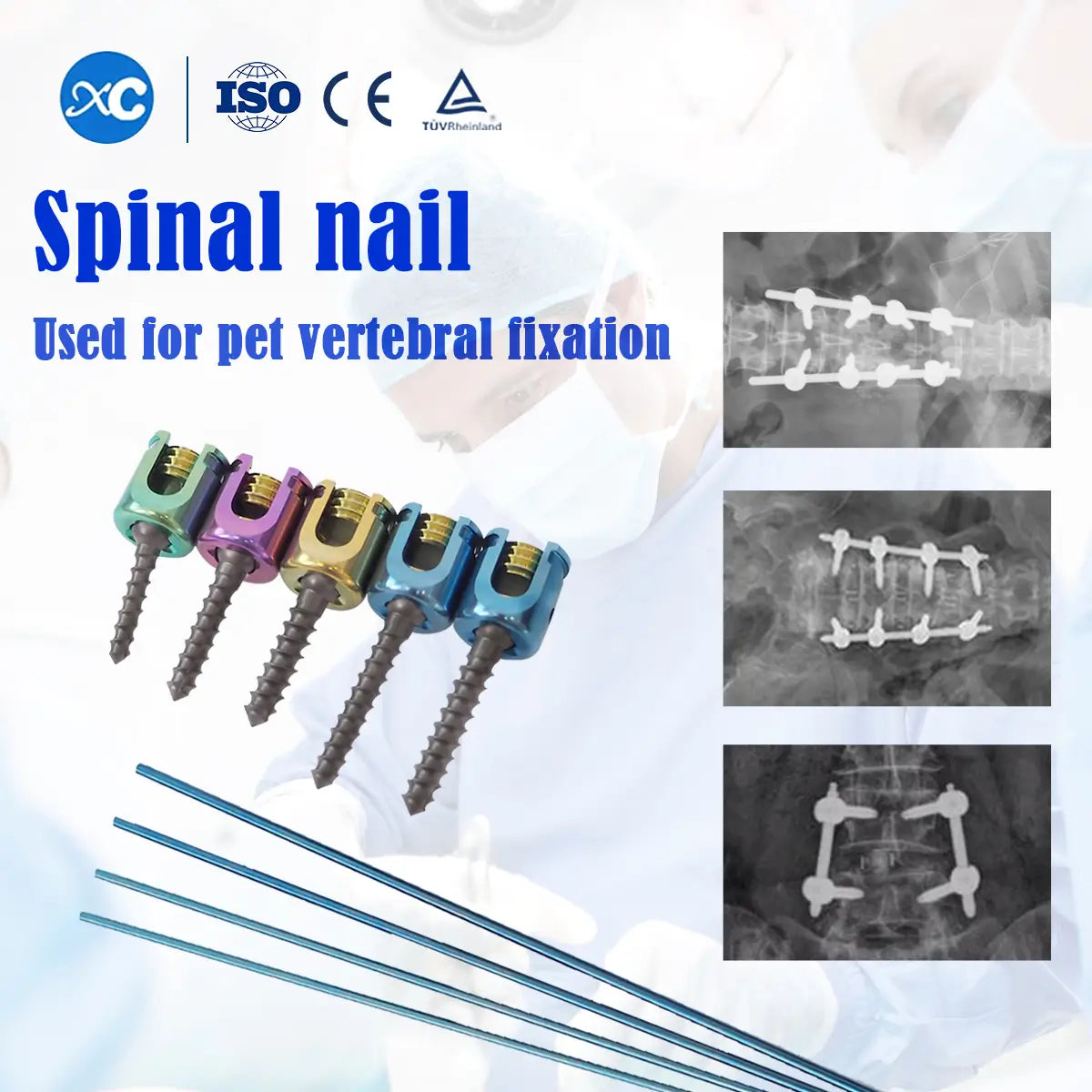 Titanium Veterinary Polyaxial Spinal Screws for All Animal Sizes - xcvet.com