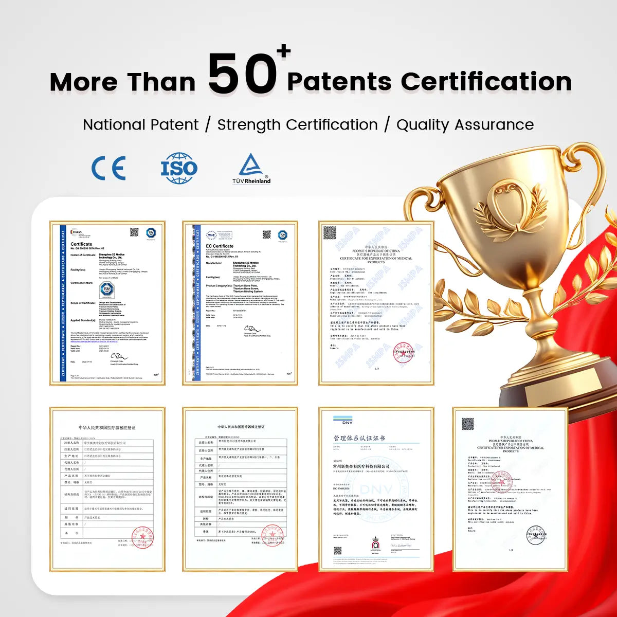 Animal Orthopedic Surgical Packs Veterinary AO Alps Plate for Bone Instrument Set - xcvet.com