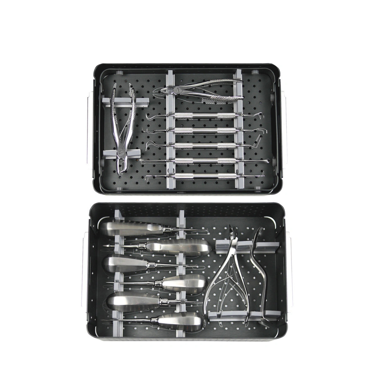 Vet Small Animal Basic Dental Surgical Instruments Set German Stainless - xcvet.com