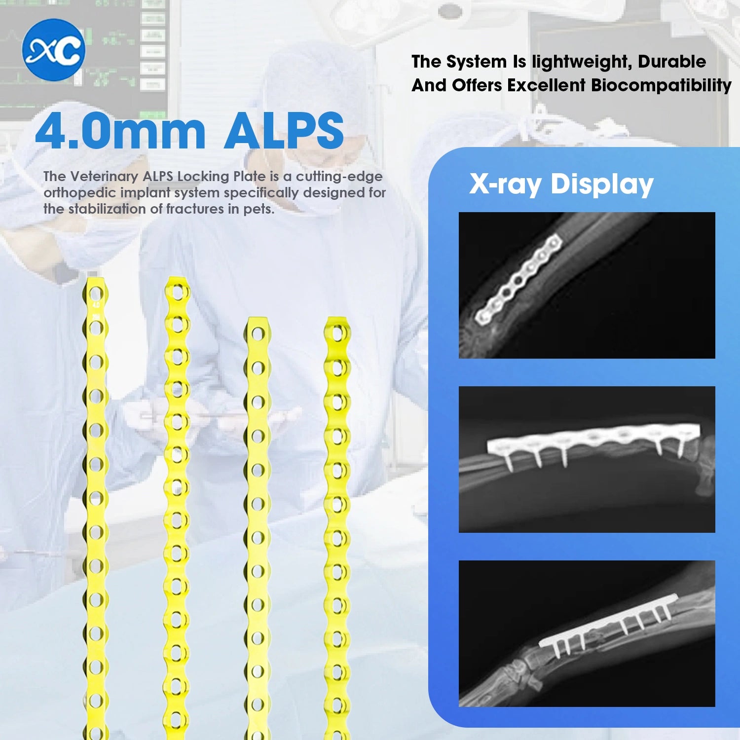 Veterinary 4.0mm ALPS Locking Plate, 1 Piece, 18/20 Holes, Premium Stainless Steel - xcvet.com