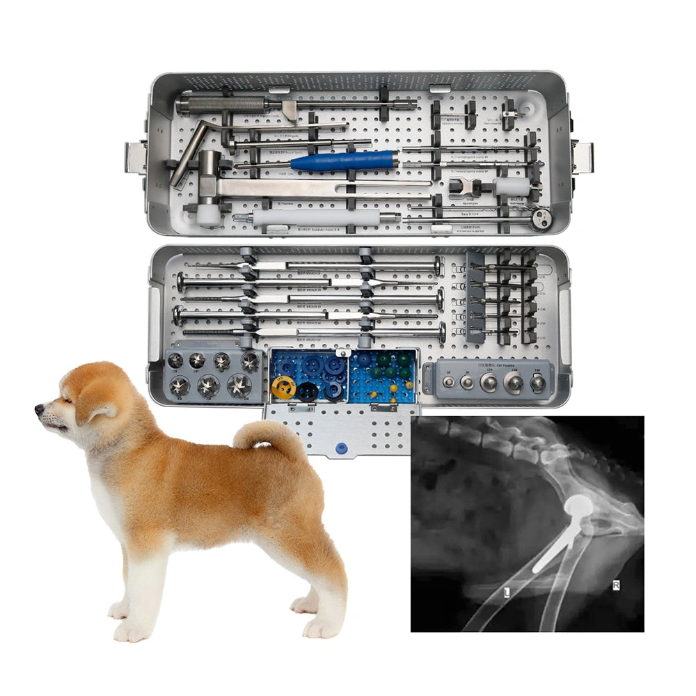 Small Animal THR Surgical A-Type Total Hip System Instrument For 1#~5# Stem - xcvet.com