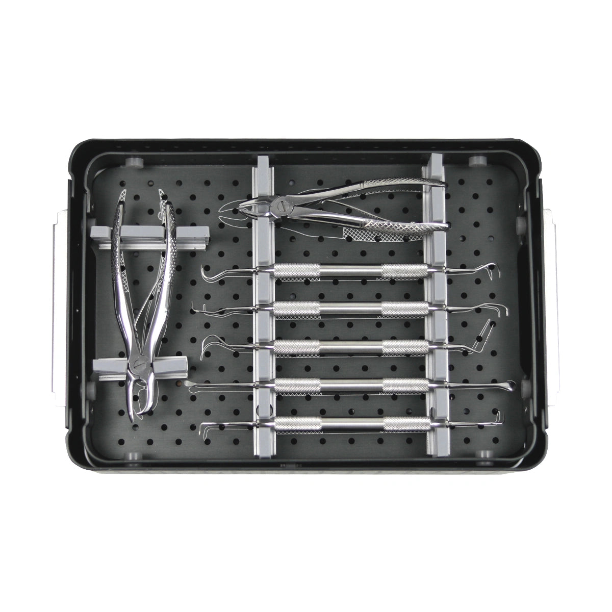 Vet Small Animal Basic Dental Surgical Instruments Set German Stainless - xcvet.com