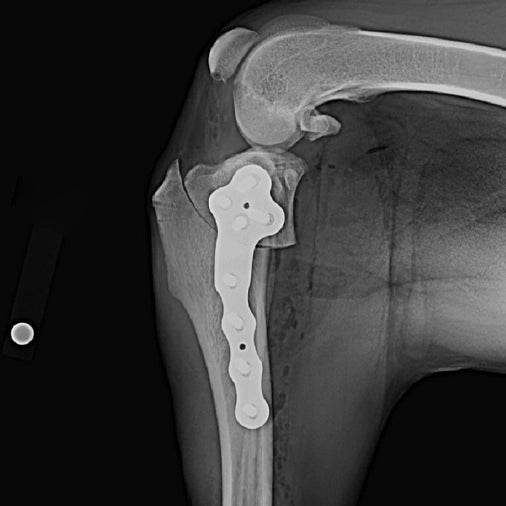 TPLO-L system fixation surgery