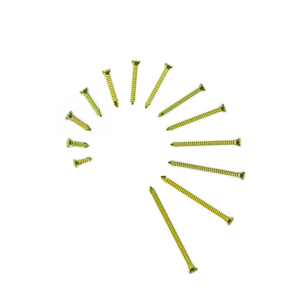 1.1mm Titanium Cortical Self-Tapping Screws for in Very Small Animals Bone Healing Plate - xcvet.com