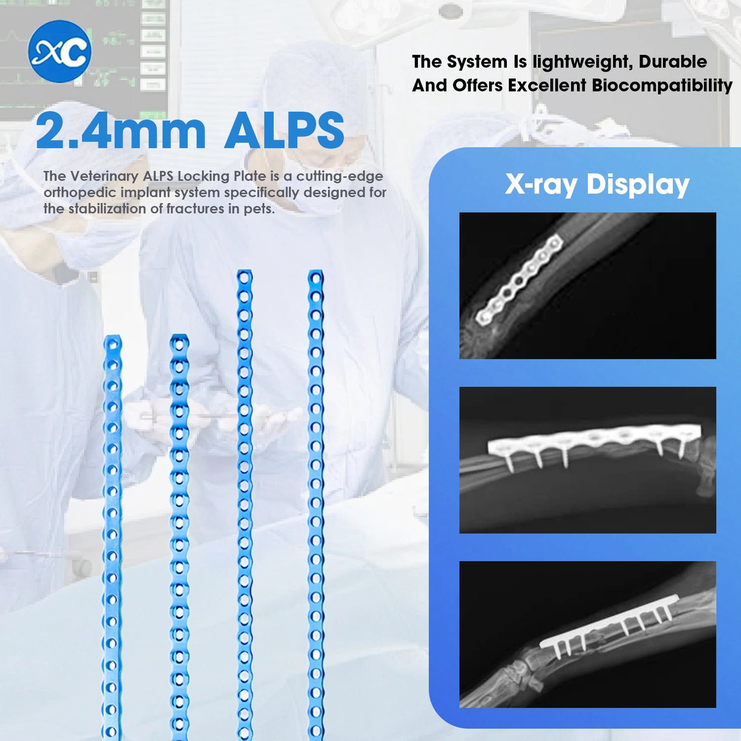 Veterinary 2.4mm ALPS Titanium Locking Bone Plate for Animal Orthopedic Surgery (1pc) - xcvet.com