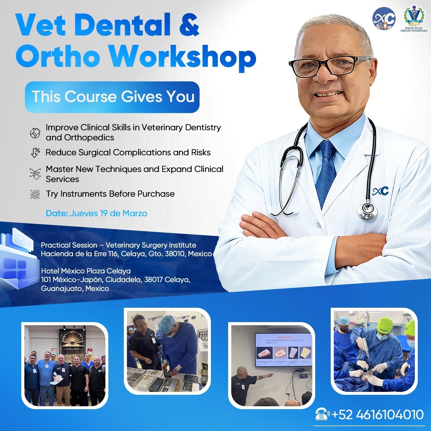 Veterinary Exodontia: Clinical Criteria Before Investing in Dental Instruments