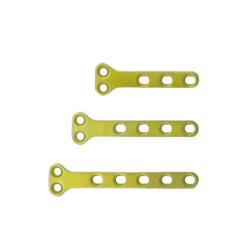 Veterinary 1.1 mm T-Type Plate (B Series) Precision Fixation for Small Animal Fracture Repair