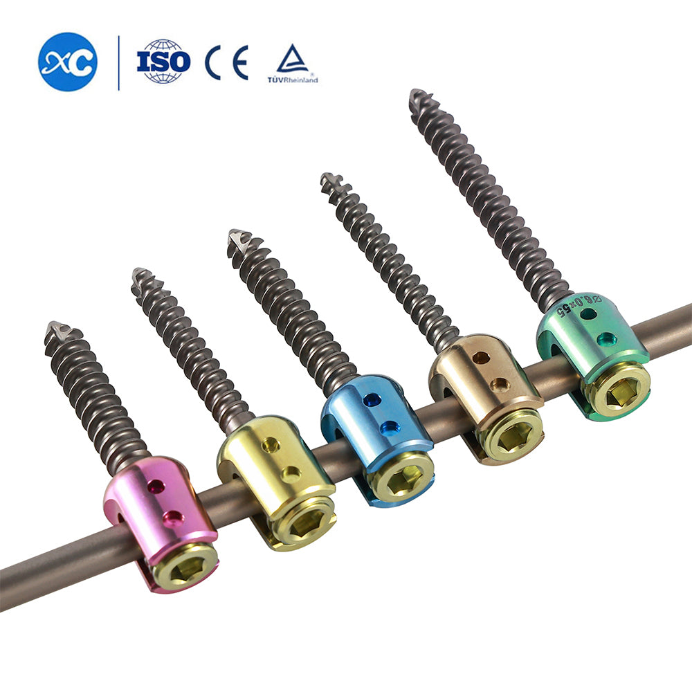 Rod（Spinal Pedicle Screw System (6.0mm System)）