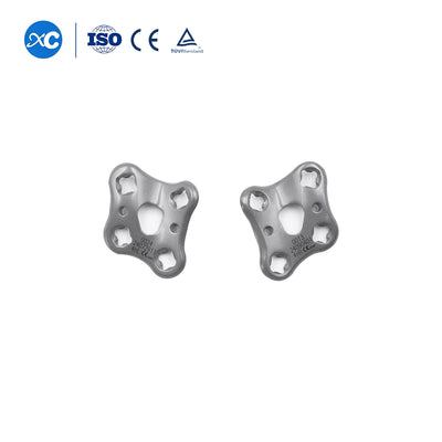 Glenoid Cavity Locking Plate