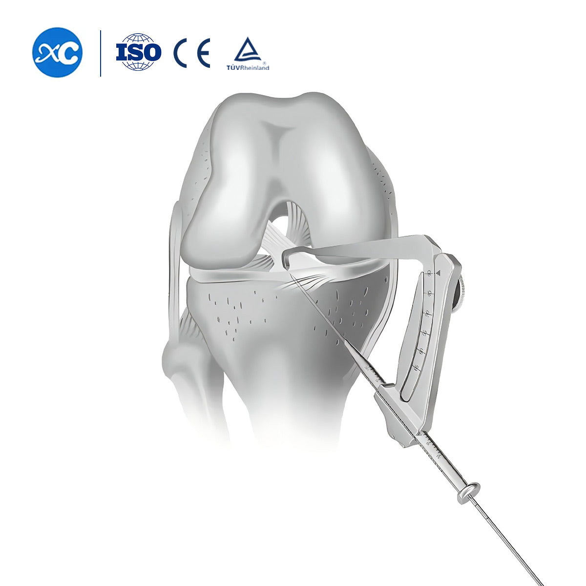 Cruciate Ligament Localization Instrument Set