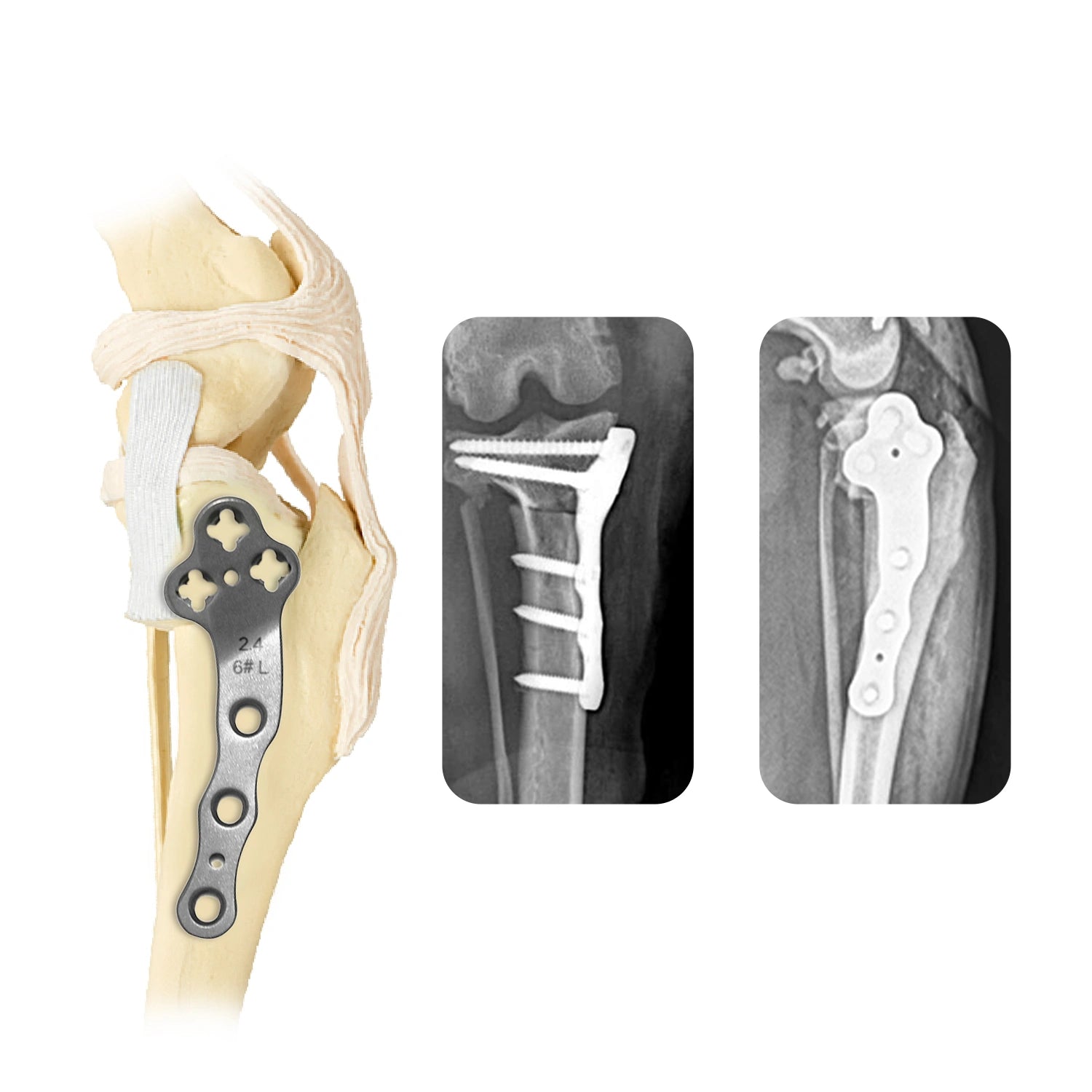 Veterinary TPLO Plate Dog 2.4mm Titanium Multi-Axial Locking Type for Canine Surgery - xcvet.com