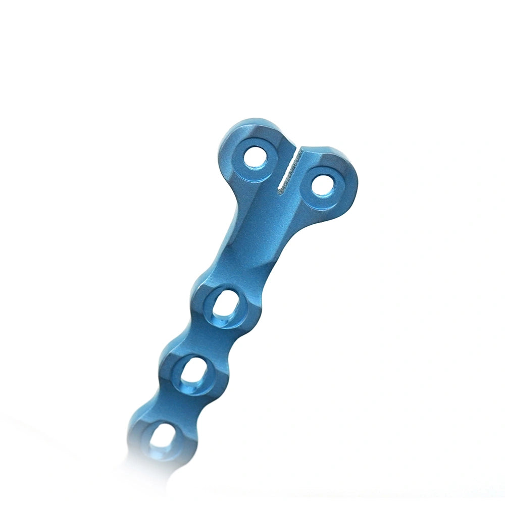 Veterinary 2.4mm T-Type Locking Plate with Threaded Holes for Small Animal Orthopedic Surgery