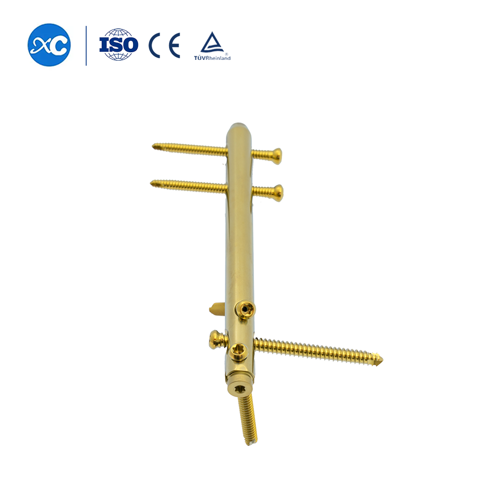 Hindfoot Fusion Ankle Nail