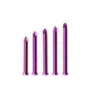 3.2mm Veterinary Stem Locking Screw for Dog Orthopedic Surgery and Bone Repair