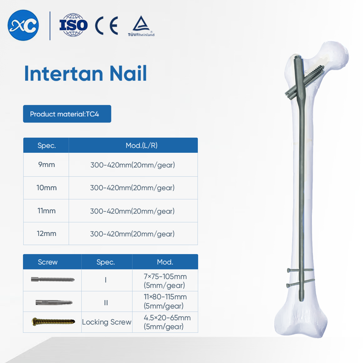 ( Locking )Screw and End Cap for Intertan Nail