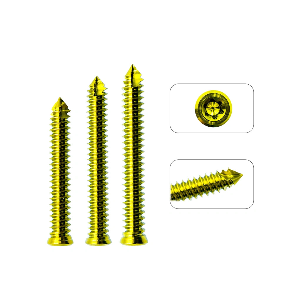 Veterinary Orthopedic Implant 4.0mm Stem Locking Screw for Small Animal Orthopaedics Surgery