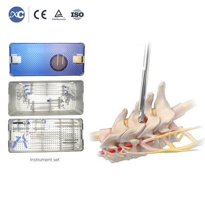 Transforaminal Endoscopic 10.0 Instrument Set