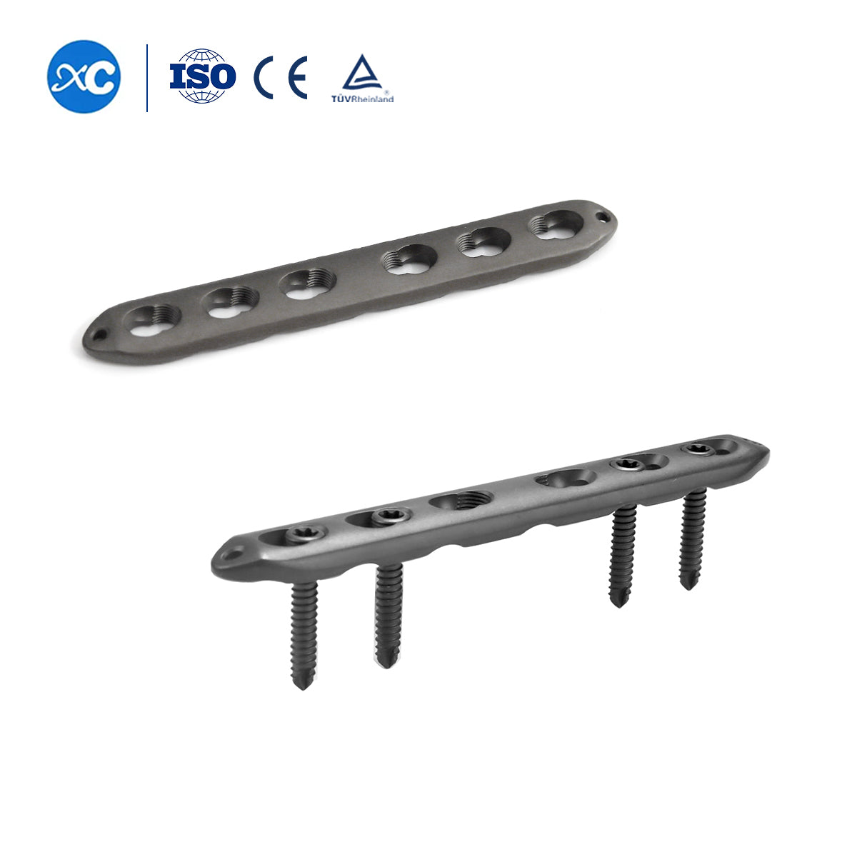 Ulna and Radius Locking Plate