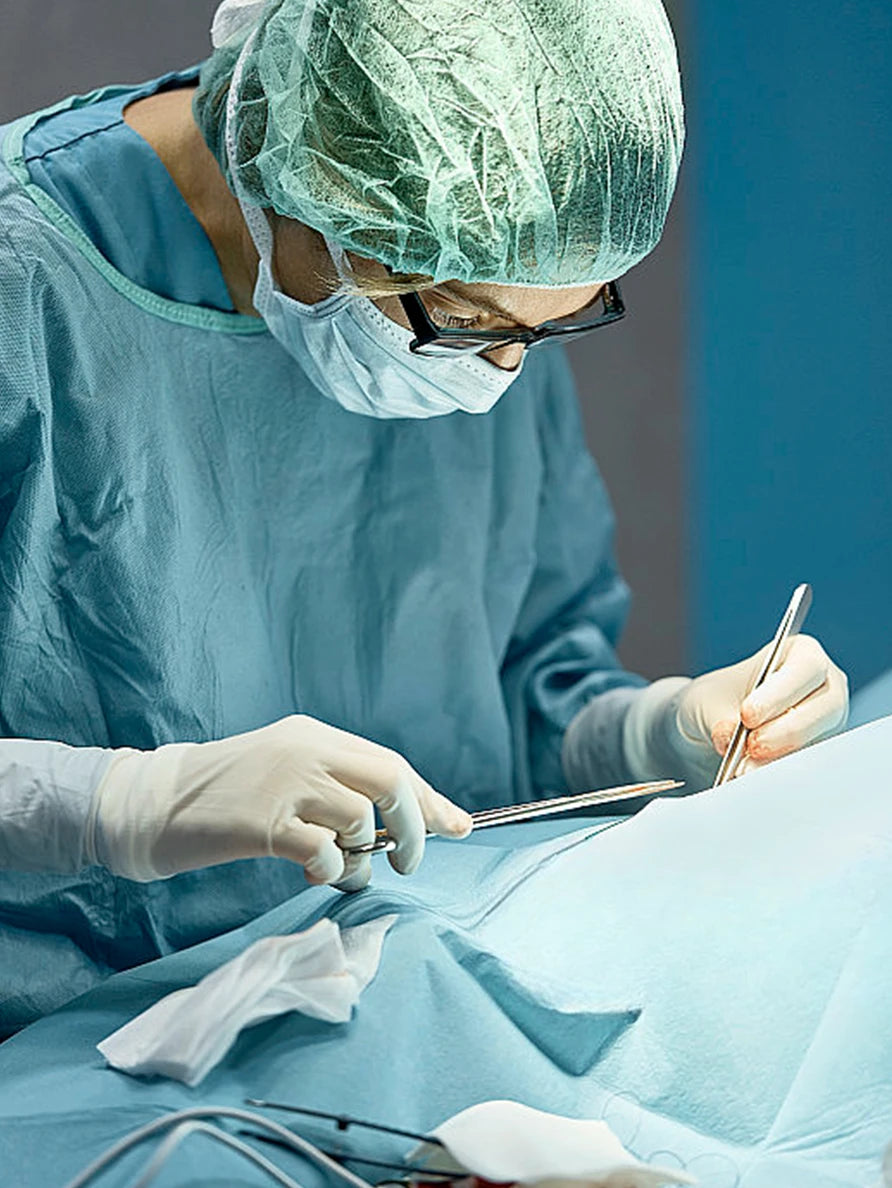 xcvet.com