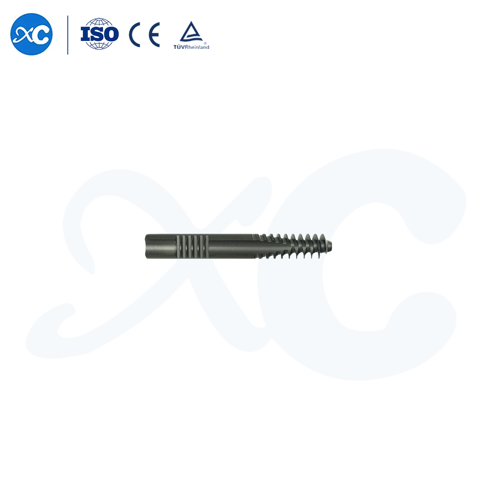 ( Locking )Screw and End Cap for Intertan Nail