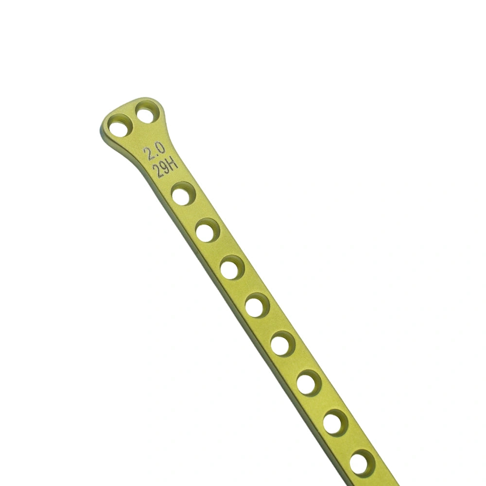 ALPS Veterinary Animal 2.0mm Double T Cuttable Plate for Canine & Feline Bone Fixation