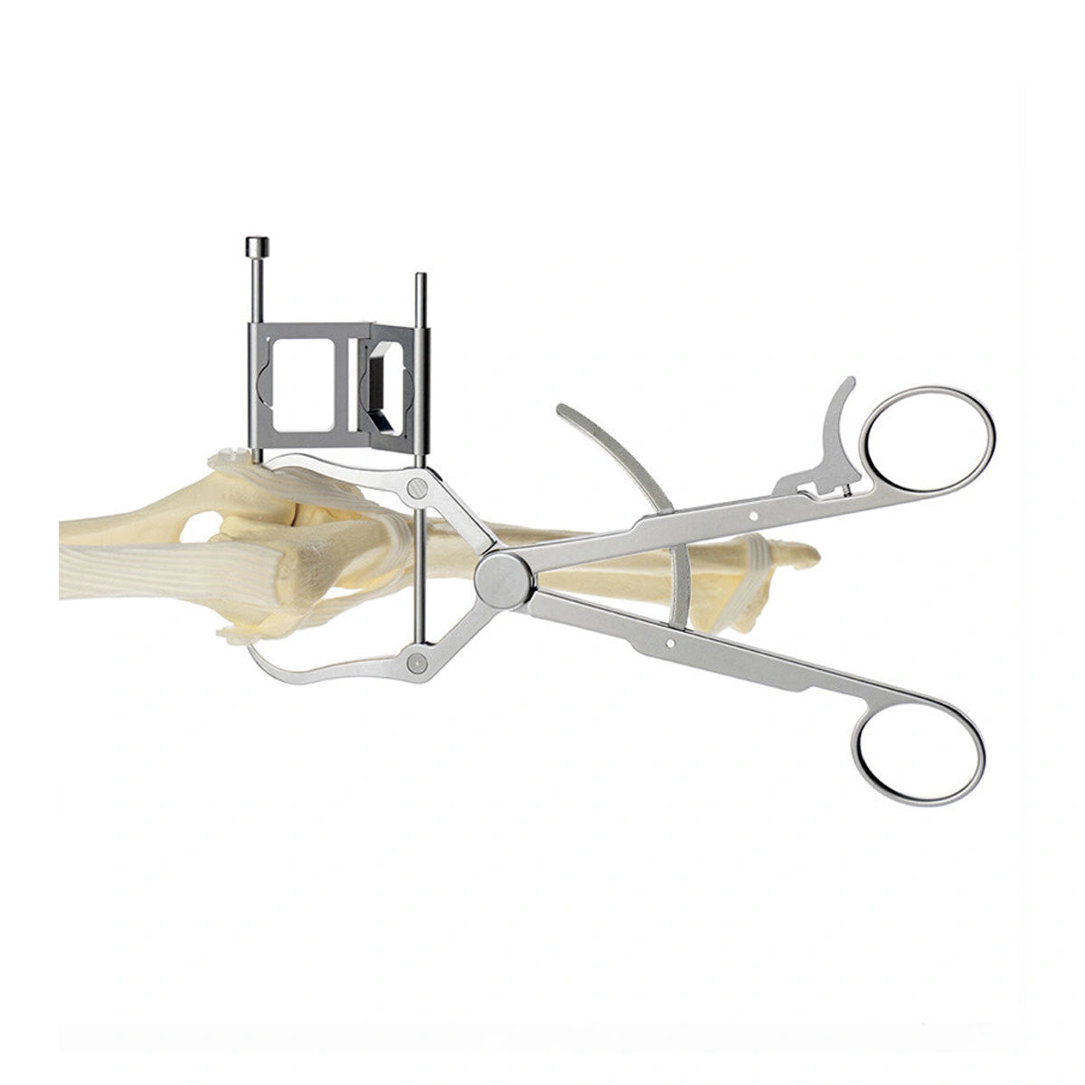 Veterinary Clinic Aiming Reduction Forceps for Precise Fracture Alignment