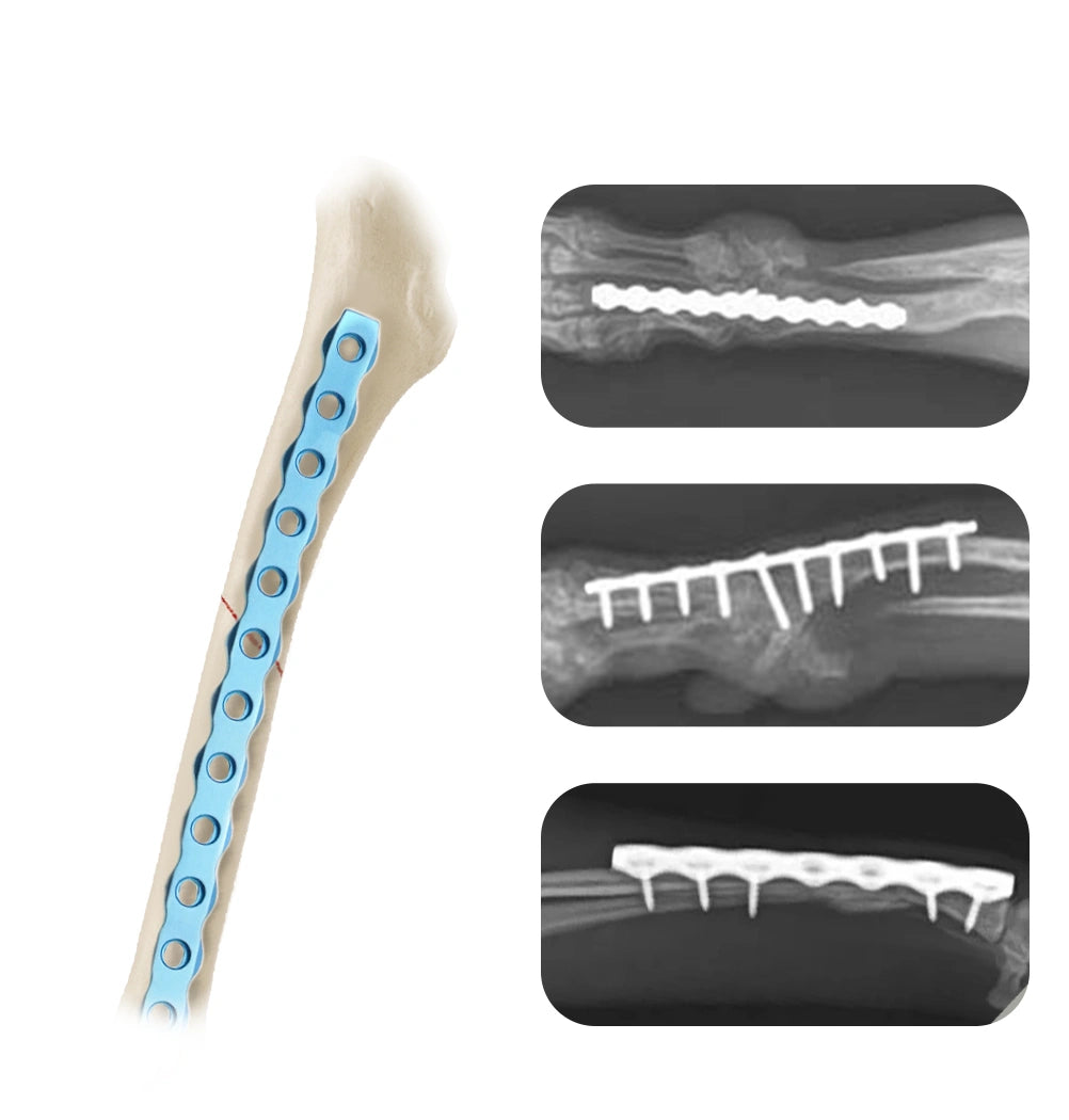 Veterinary Orthopedic 2.4mm ALPS-II Locking Bone Plate for Small Animal Surgery - xcvet.com