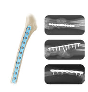 Veterinary Orthopedic 2.4mm ALPS-II Locking Bone Plate for Small Animal Surgery - xcvet.com