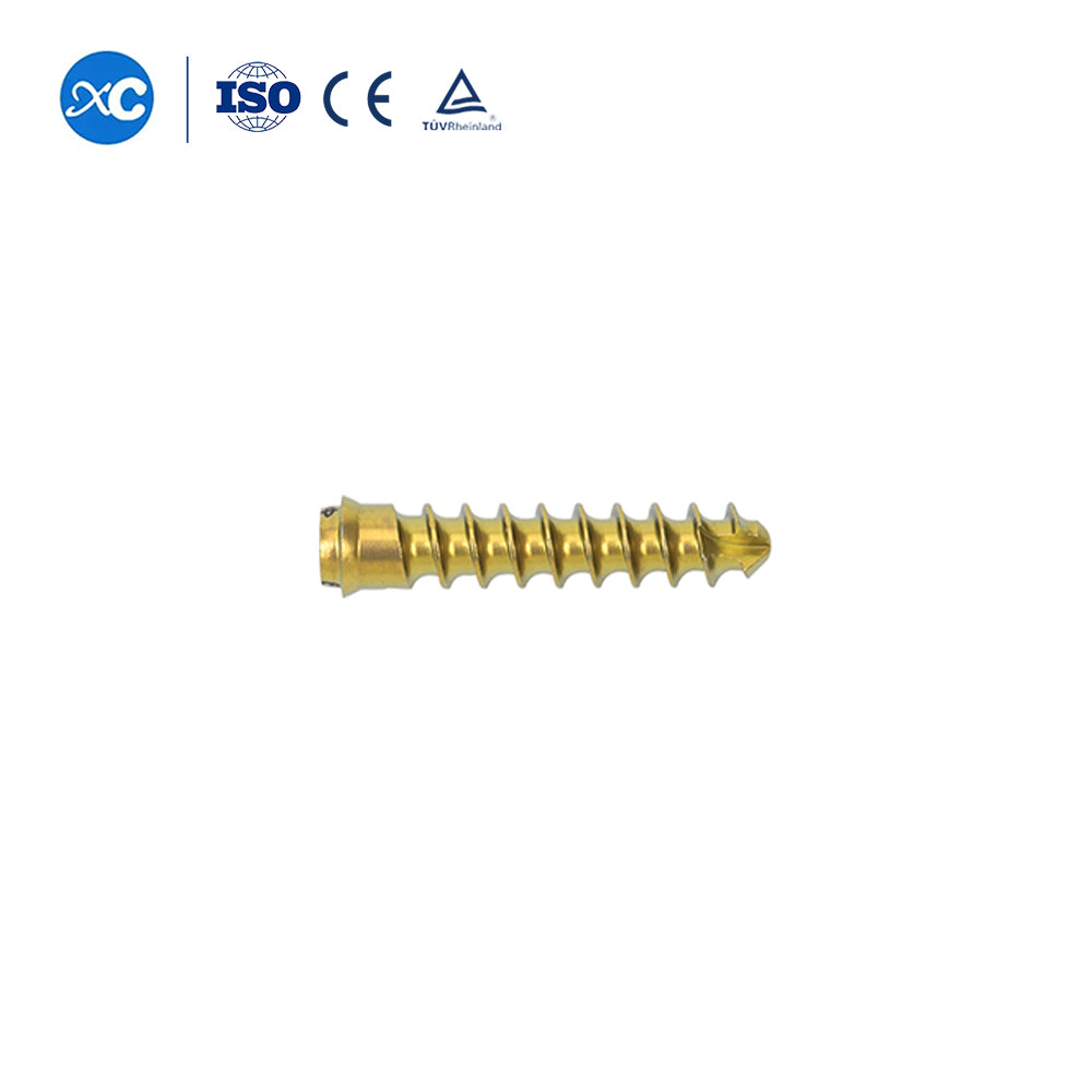 Anterior Cervical Screw-II-Anterior Cervical Plate System