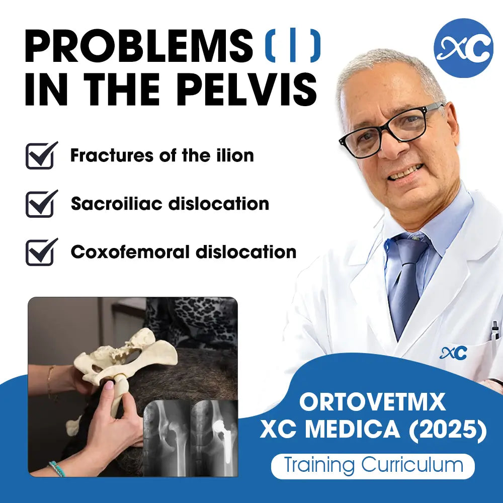August Course | CCLR–Principles and Technological Advances in Extracapsular Repair Techniques