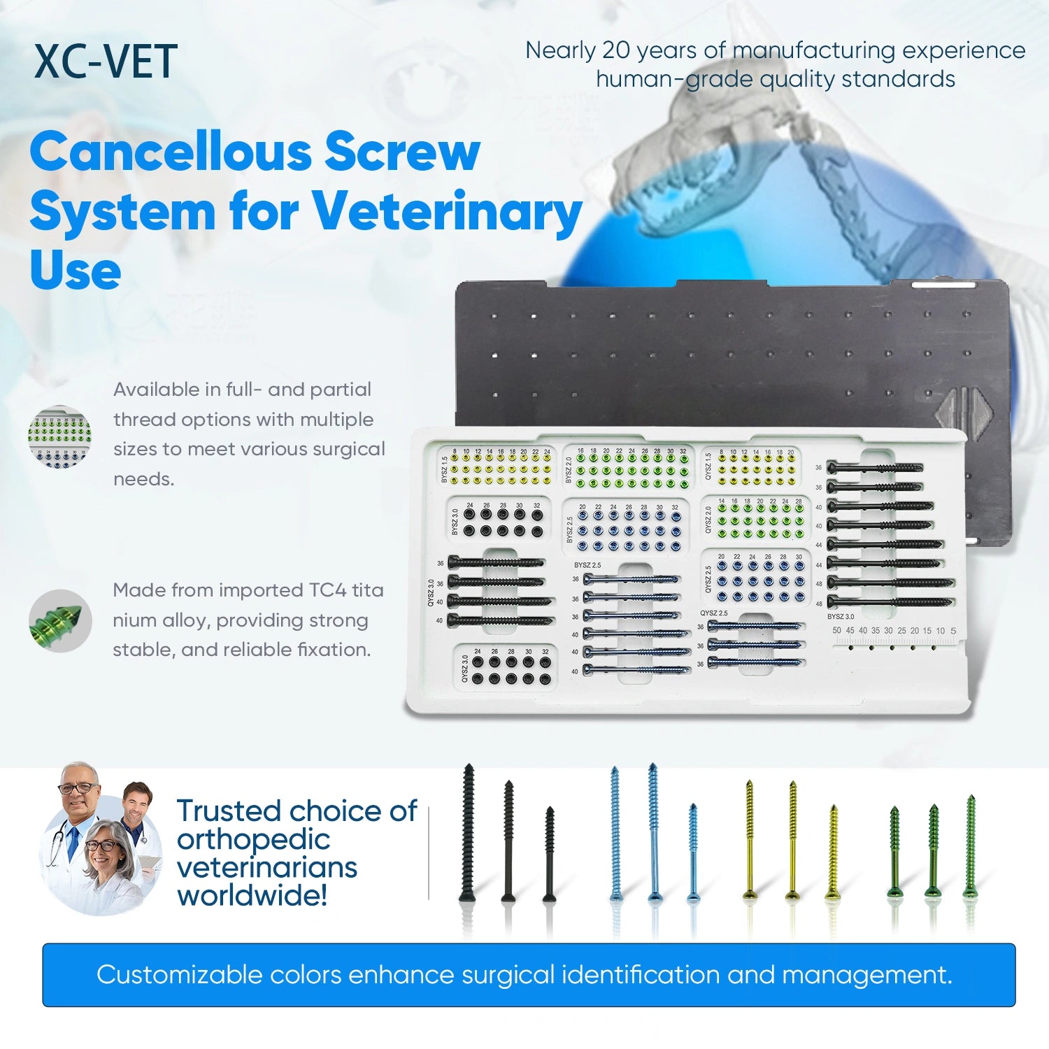 Animal Orthopaedics Cancellous Screw Set for Precision Veterinary Fracture Repair