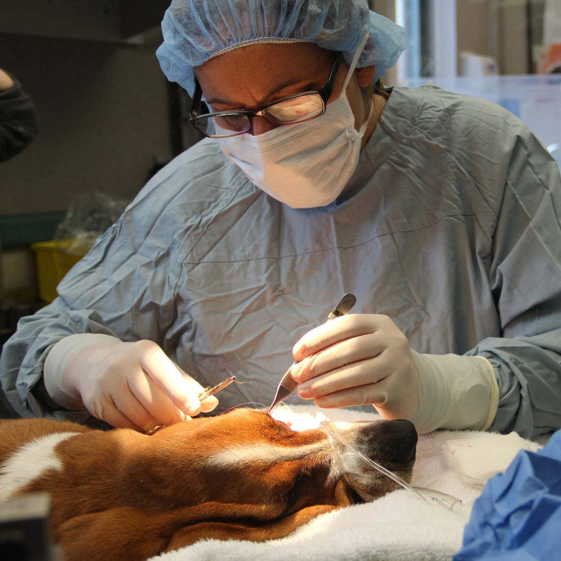 <strong>Built for Repeated Use</strong>