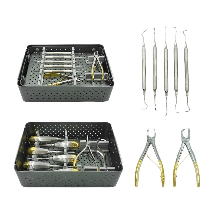 Vet Small Animal Basic Dental Surgical Instruments Set German Stainless