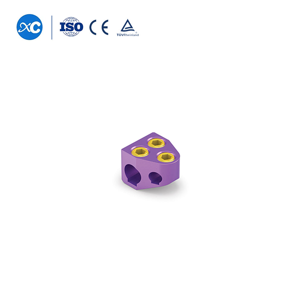 Domino Bolt-Posterior Cervical Fixation System