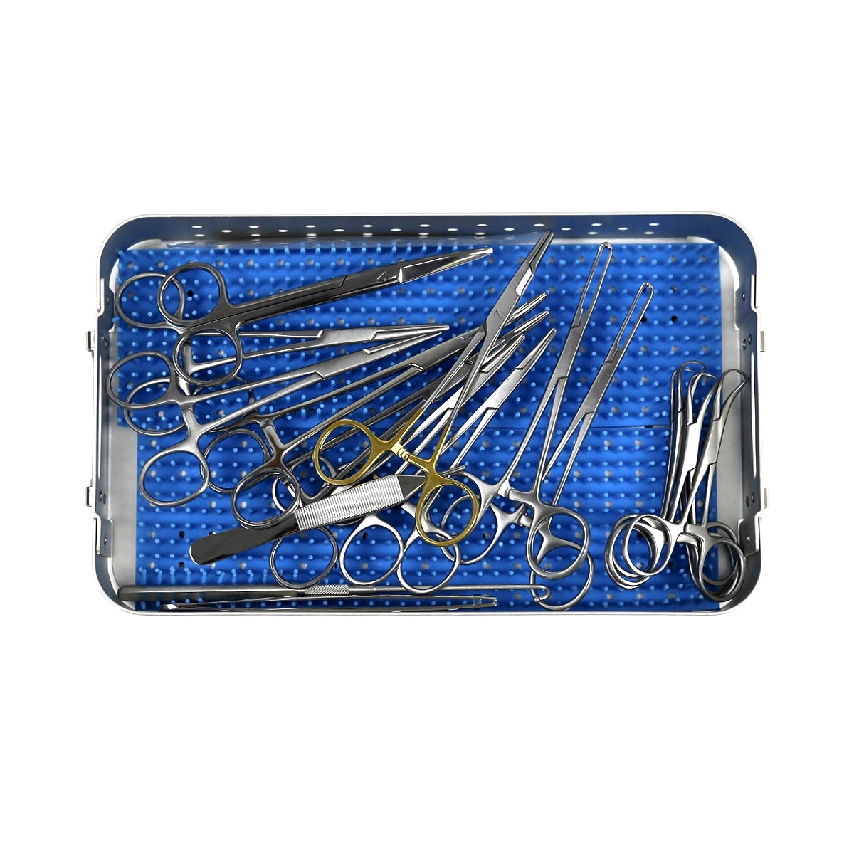 Orthopedic Surgical Instruments Canine Spay Pack Set with Surgical-Grade Materials
