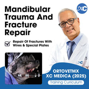 July Course | Mandibular Trauma and Fracture Repair: Techniques with Wires and Specialized Plates