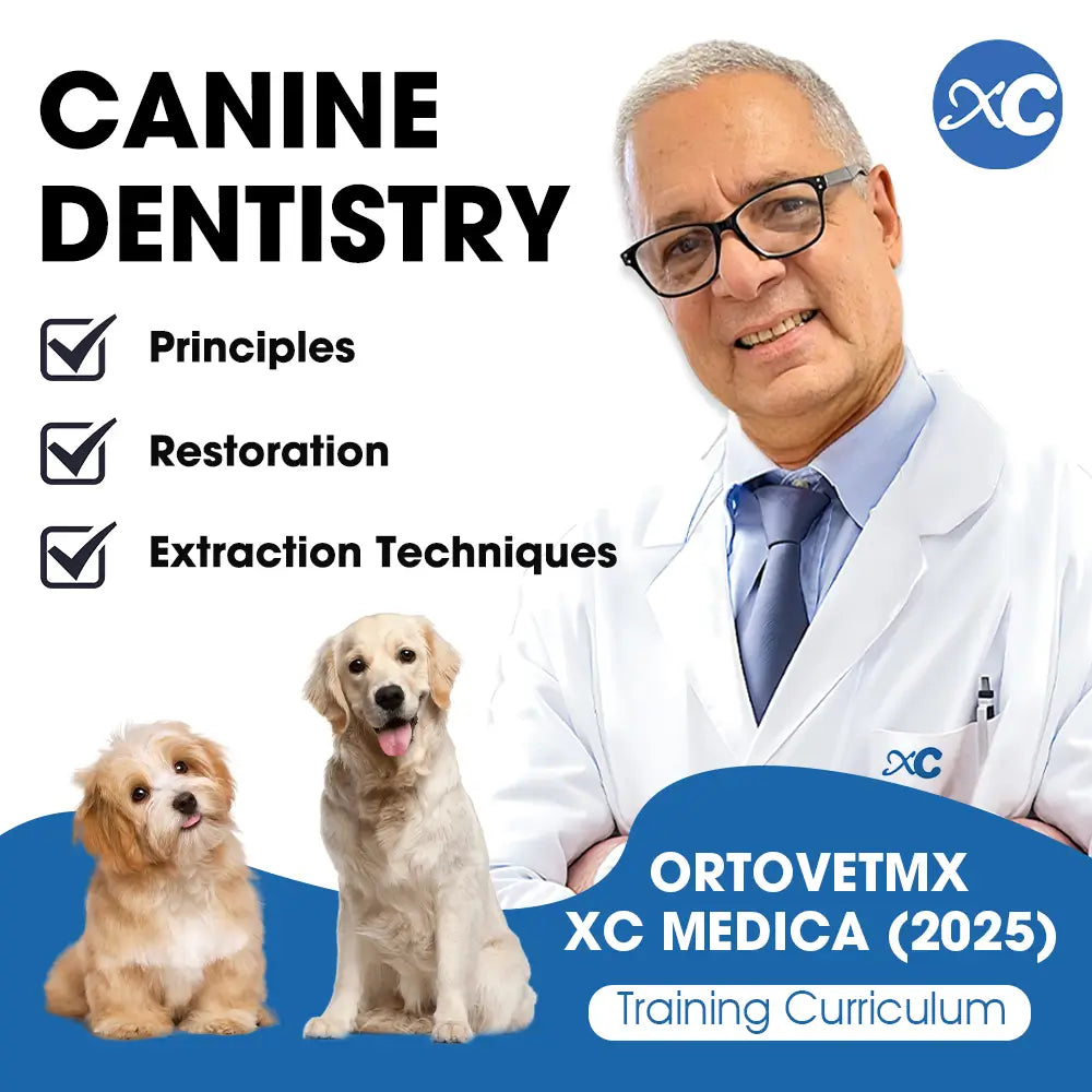 June Course | Canine Dentistry Essentials: Principles, Restoration, and Extraction