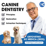 June Course | Canine Dentistry Essentials: Principles, Restoration, and Extraction