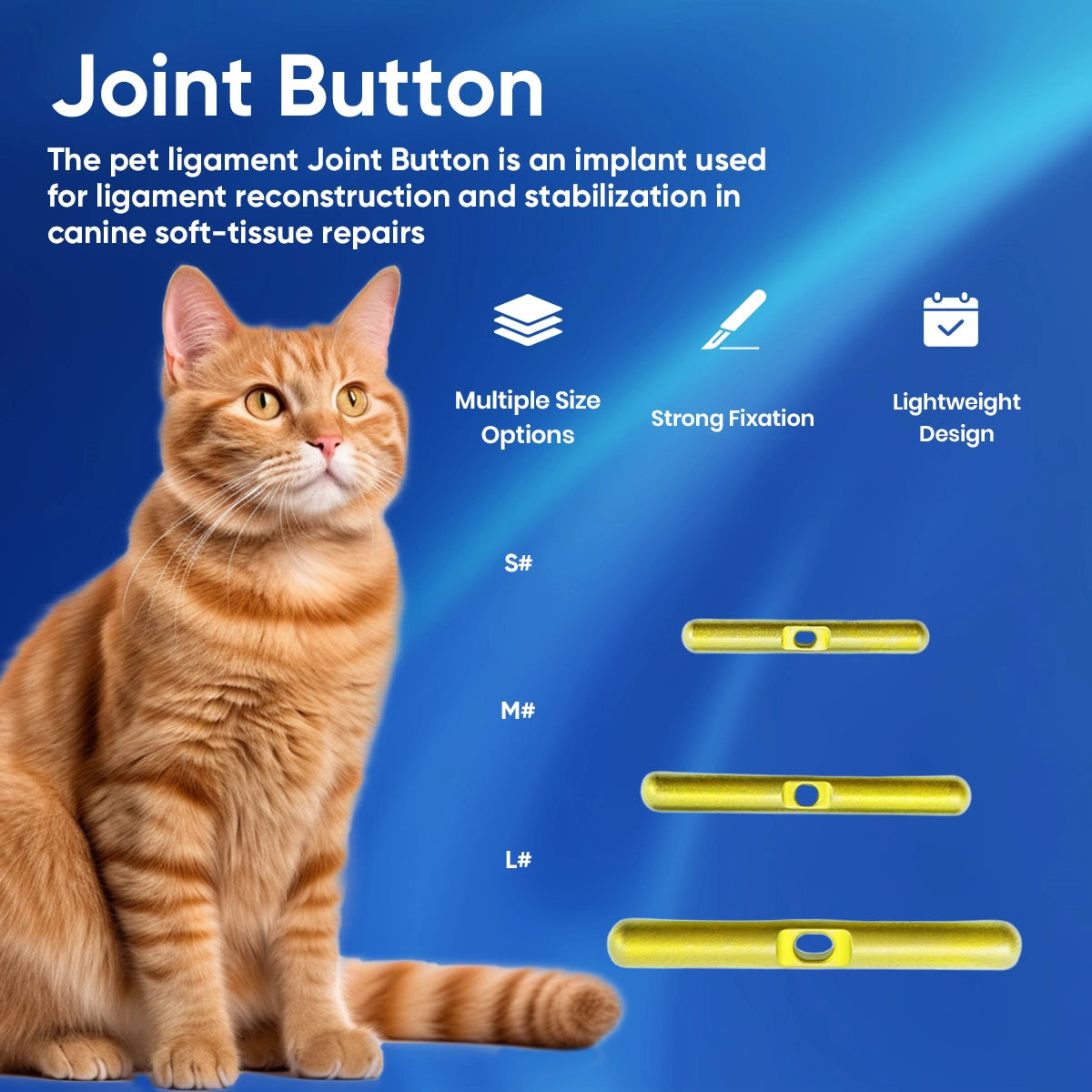 Joint Bone Button for Animal Orthopedic & Sports Medicine Surgery