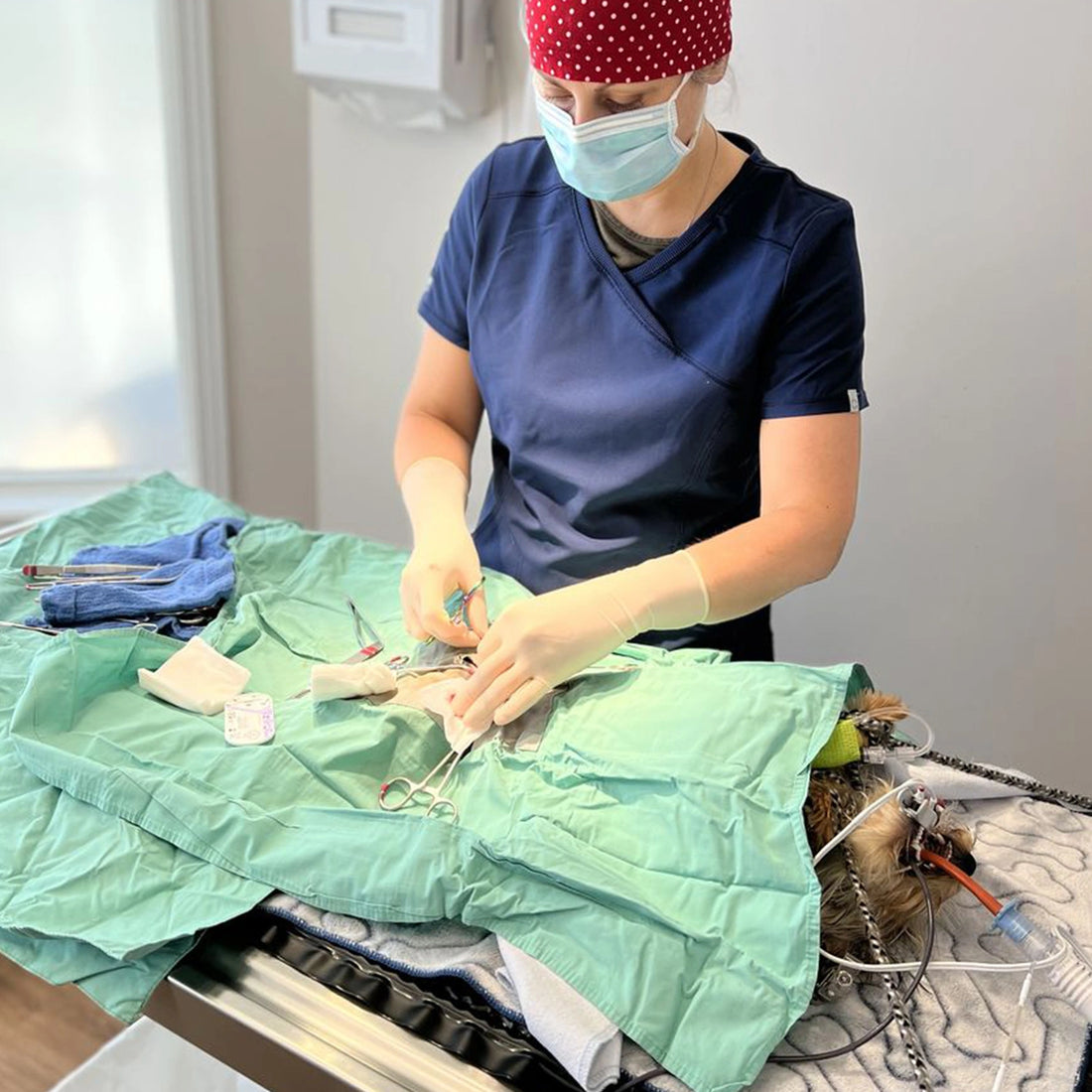 Premium German Stainless Steel