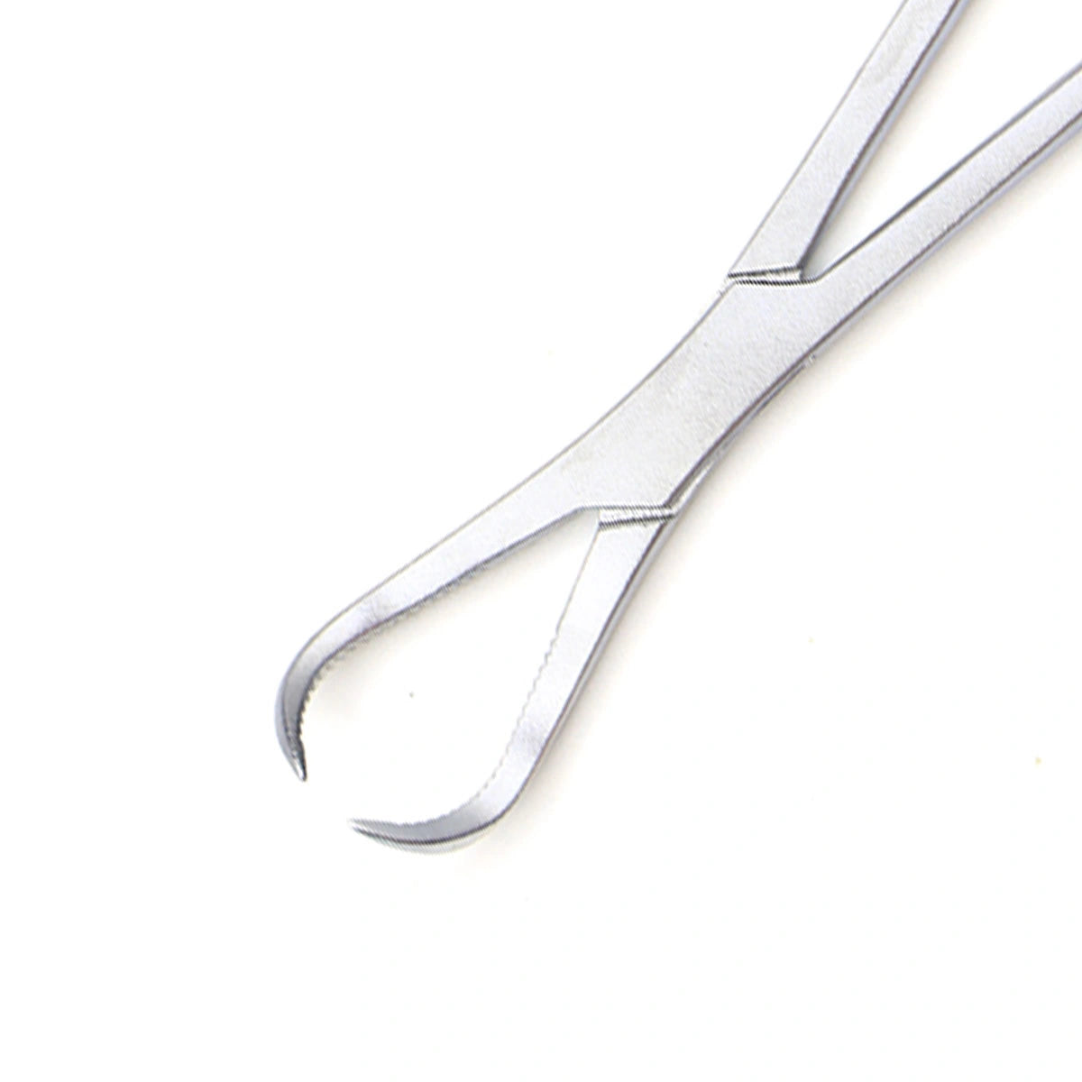 Veterinary Stainless Steel Reduction Forceps with Point – Corrosion Resistant
