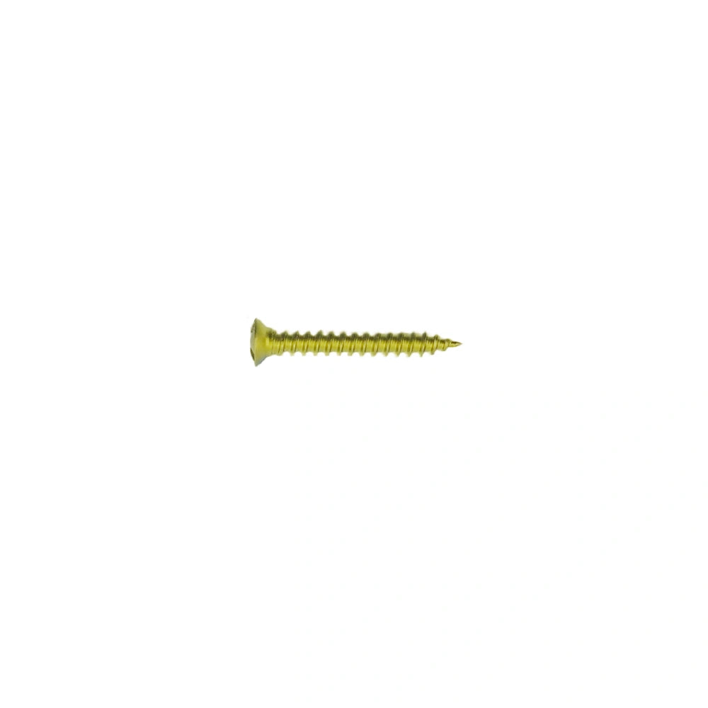 Veterinary Implant CMF Titanium Screw for Pet maxillofacial fractures Orthopedic Surgery