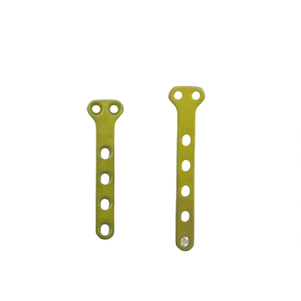 Veterinary 1.1 mm T-Type Plate (B Series) Precision Fixation for Small Animal Fracture Repair